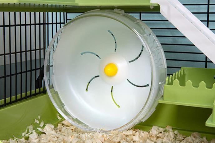 https://fulmo-img-server.com/hamster-cage-kingdom/1784952132499_nqxt82mr_3kayk1nj.jpeg