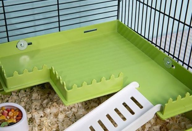 https://fulmo-img-server.com/hamster-cage-kingdom/1784952147416_2ljwxxln_p8i2wki4.jpeg