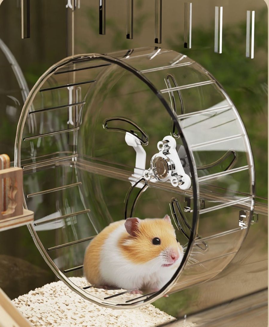 https://fulmo-img-server.com/hamster-cage-kingdom/1784952556946_jdcnkmgi_y0m0bi1a.jpeg