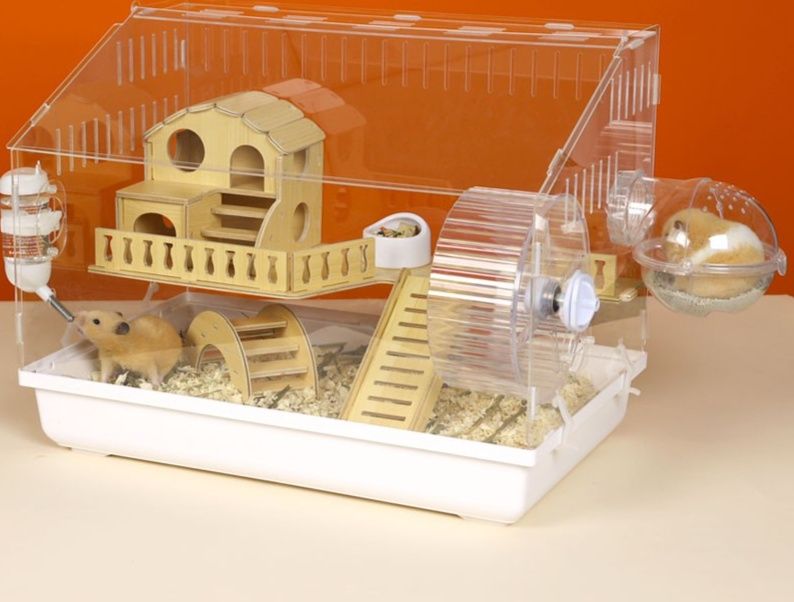 https://fulmo-img-server.com/hamster-cage-kingdom/1787274981625_d32k4yxc_a5jtxije.jpeg