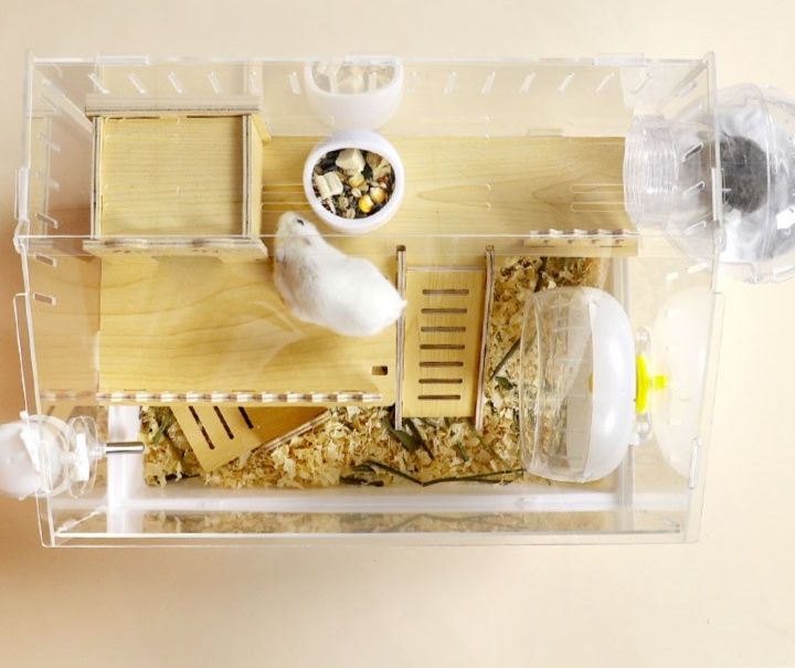 https://fulmo-img-server.com/hamster-cage-kingdom/1787275217506_vzextqke_gyzdkwhl.jpeg