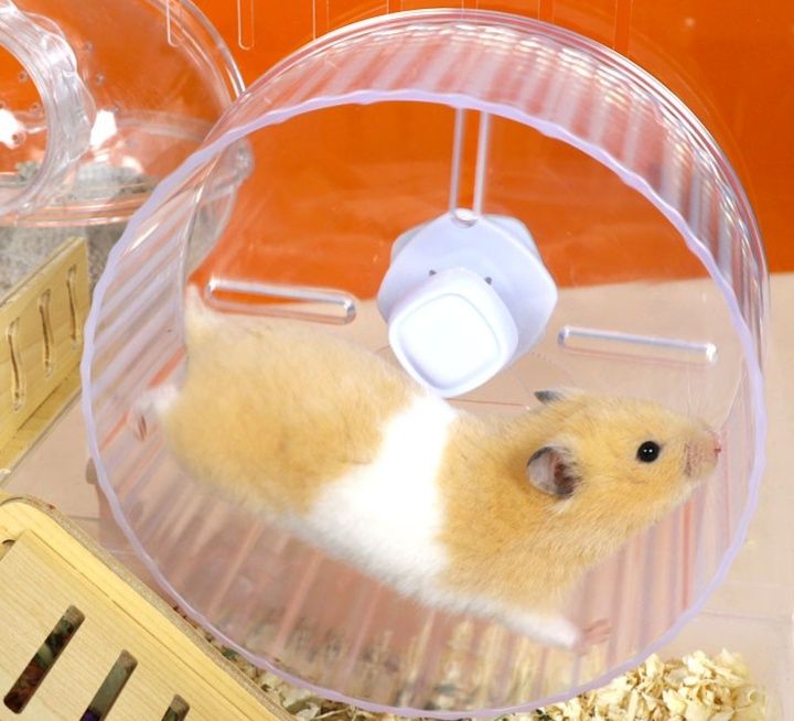 https://fulmo-img-server.com/hamster-cage-kingdom/1787275228780_9oos5mec_4sccve6n.jpeg