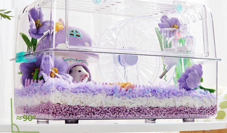 ハムスターケージ 透明大型ハムスター用プラスチック飼育ケージ50cm
