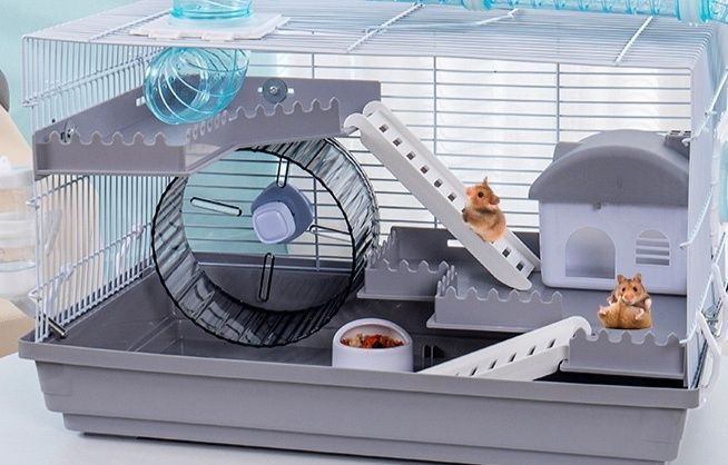 https://fulmo-img-server.com/hamster-cage-kingdom/1790558270968_670eedju_f0ggog84.jpeg