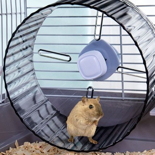 https://fulmo-img-server.com/hamster-cage-kingdom/1790558291224_ozag0uc9_gf88qygz.jpeg