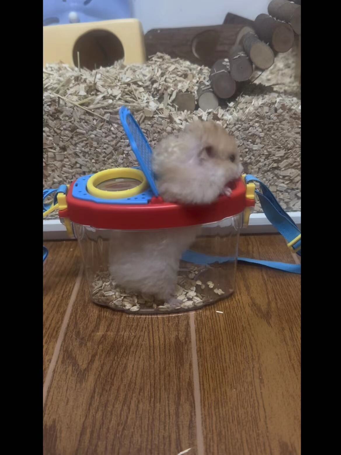 ハムスターケージ 持ち運び便利な透明プラスチック製携帯ケージ