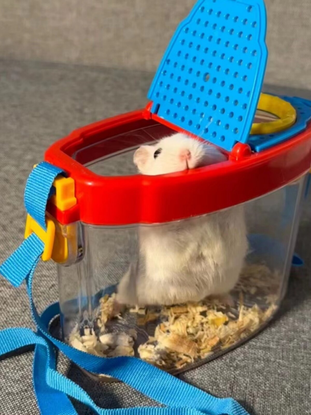 ハムスターケージ 持ち運び便利な透明プラスチック製携帯ケージ