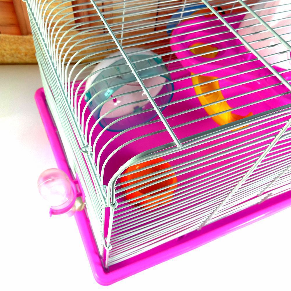 https://fulmo-img-server.com/hamster-cage-kingdom/bb446174-c24d-4f66-a554-16694a1a6ff3.jpg