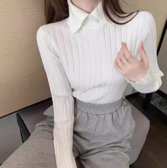 イエベ春/イエベ秋服　襟付きセーター