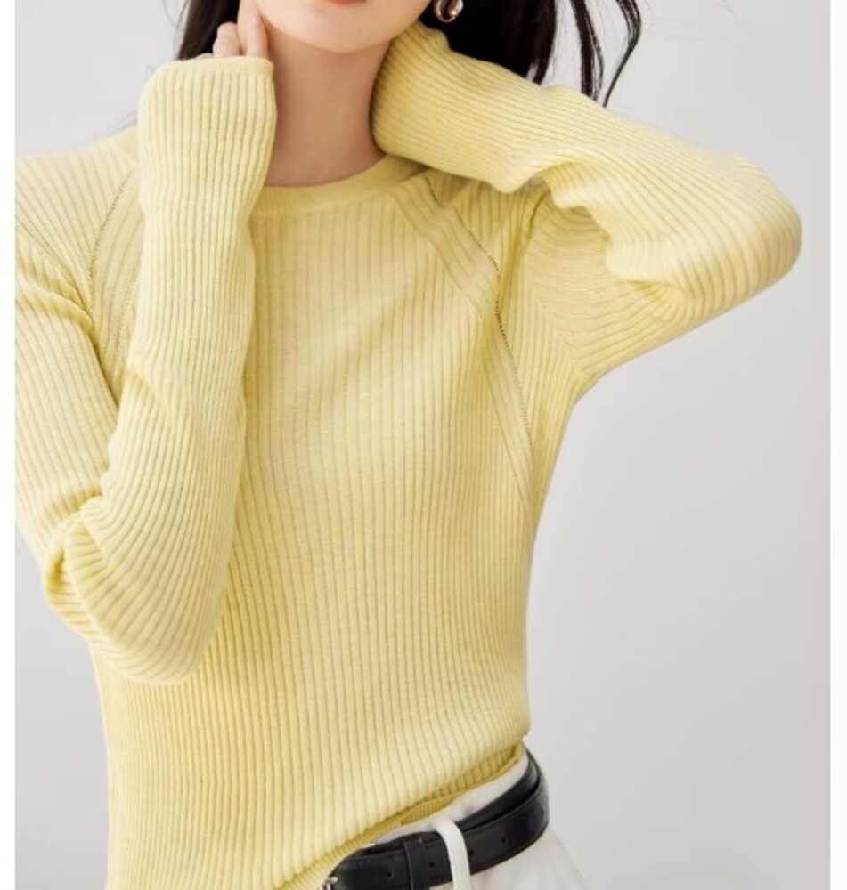 イエベ春/イエベ秋服　クルーネックシンプルリブニット