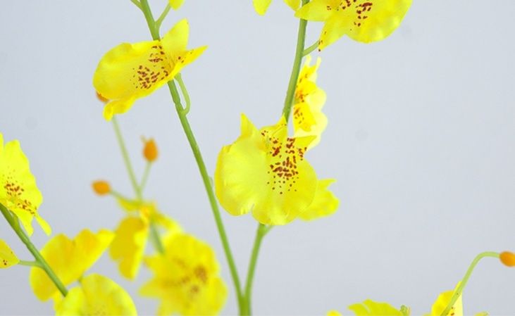 インテリア雑貨　鮮やかな蘭の花束