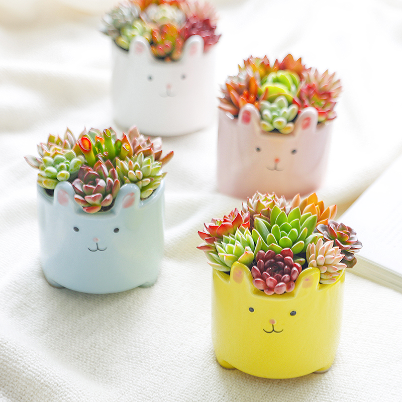 インテリア雑貨 うさぎのお花畑