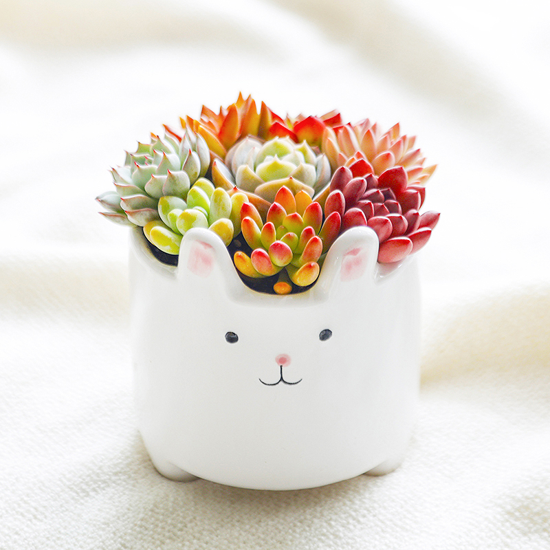 インテリア雑貨 うさぎのお花畑