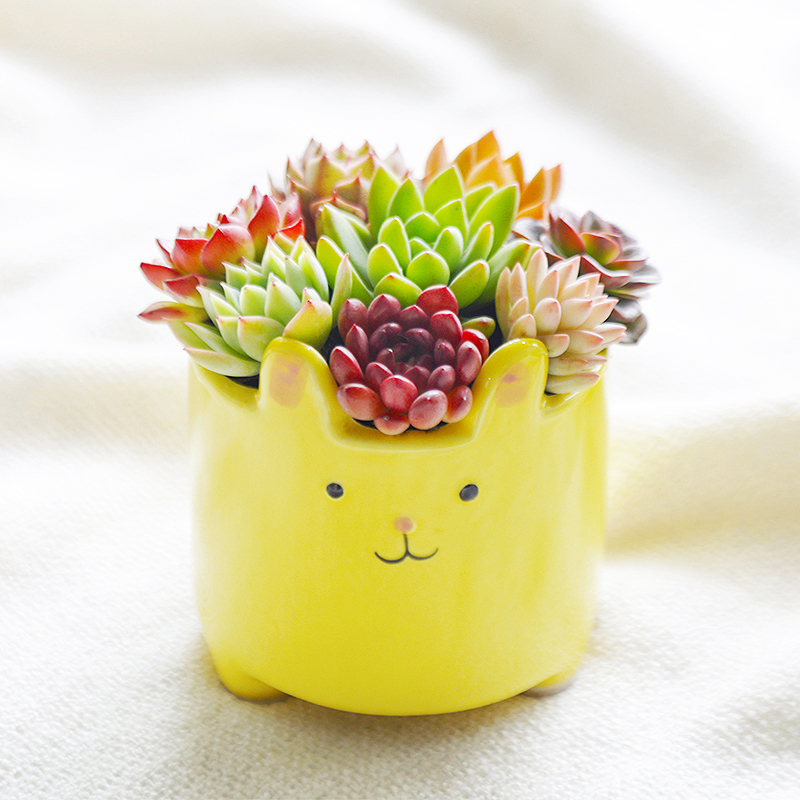 インテリア雑貨 うさぎのお花畑
