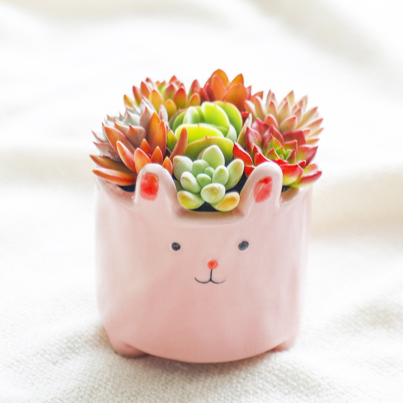 インテリア雑貨 うさぎのお花畑