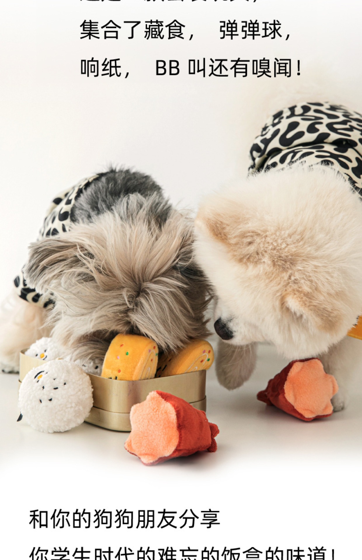 犬のおもちゃ わんこのごちそうセット