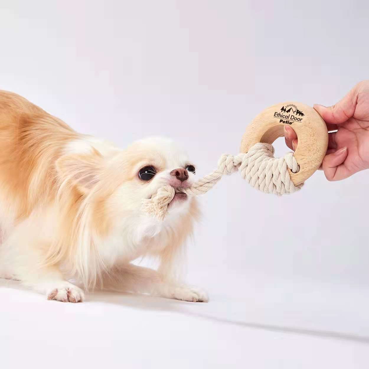 犬 おもちゃ ロープ | 天然木とロープの歯磨きおもちゃ