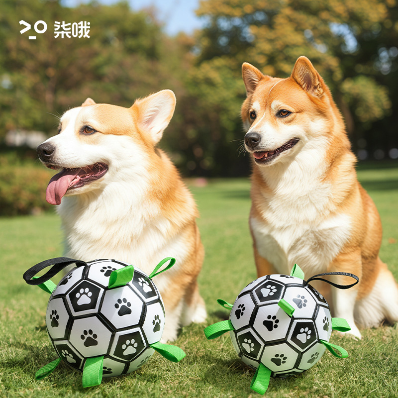 https://fulmo-img-server.com/inu-happy/08f7d4f2-ef5b-47fc-b97e-d953d30e3d3c.jpg