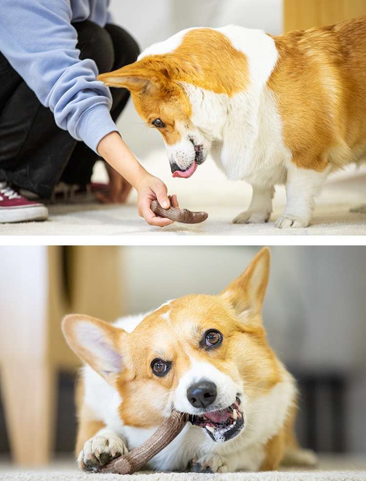 犬のおもちゃ 木製アントラー デンタルトイ