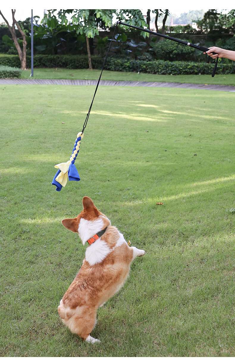 犬のおもちゃ  犬用ロープおもちゃ フラッピーテイル