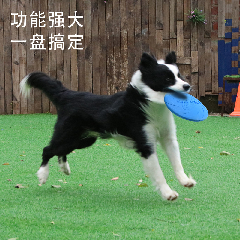 https://fulmo-img-server.com/inu-happy/0cfe0054-9f1f-4f9a-96af-b57d9eb6b370.jpg