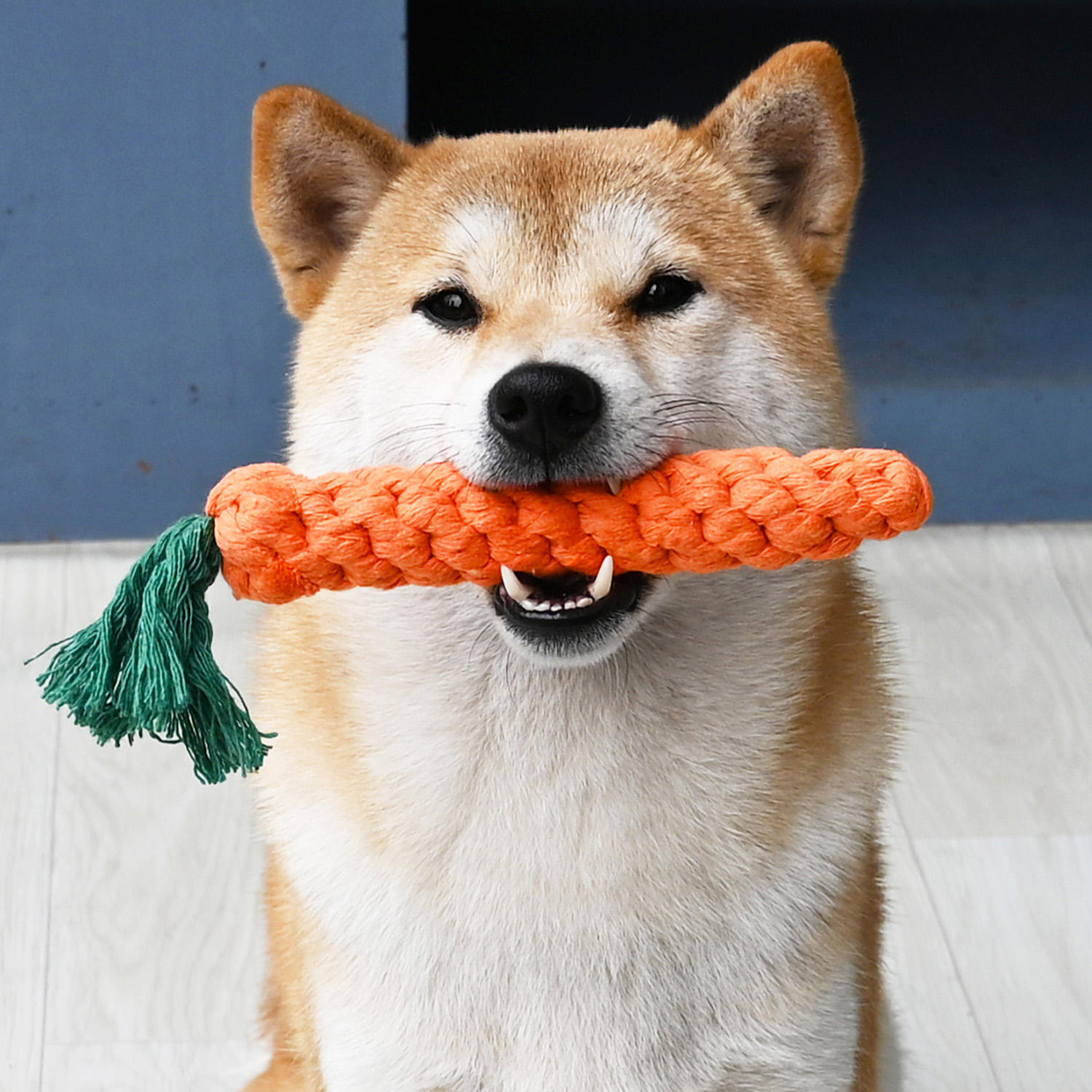犬のおもちゃ にんじんロープ歯みがきおもちゃ