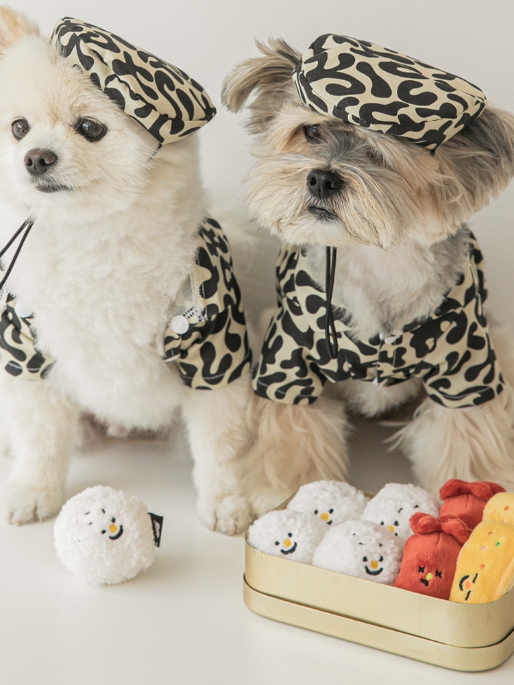 犬のおもちゃ わんこのごちそうセット