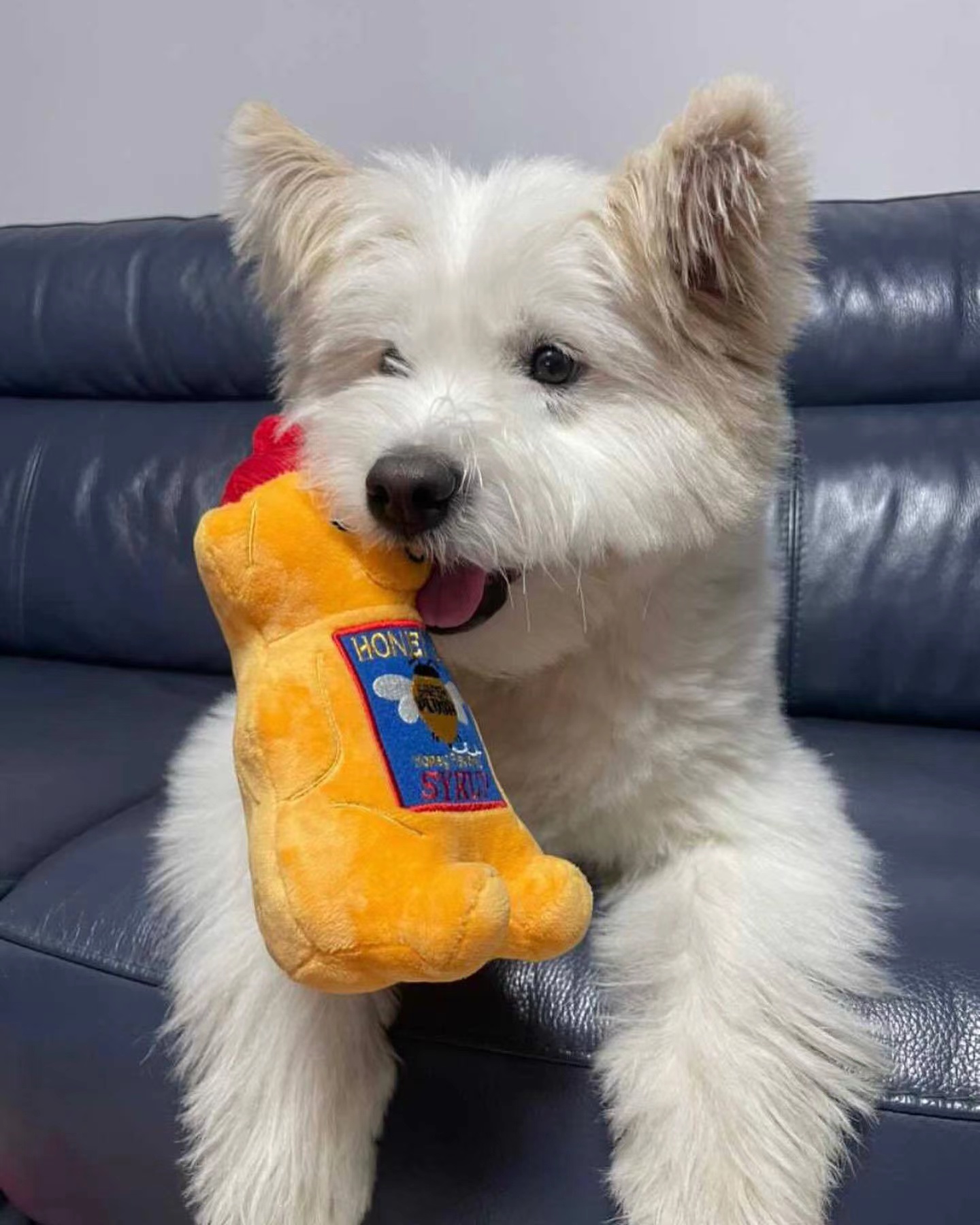 犬のおもちゃ くまさんもぐもぐおもちゃ