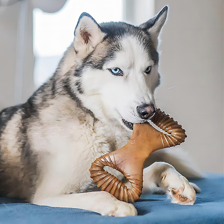 犬のおもちゃ 犬用耐久骨型噛むおもちゃ リブデザイン