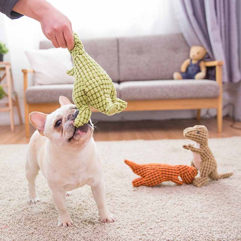 https://fulmo-img-server.com/inu-happy/1697d5ea-f540-43c1-838f-6d6e1c01eecf.jpg