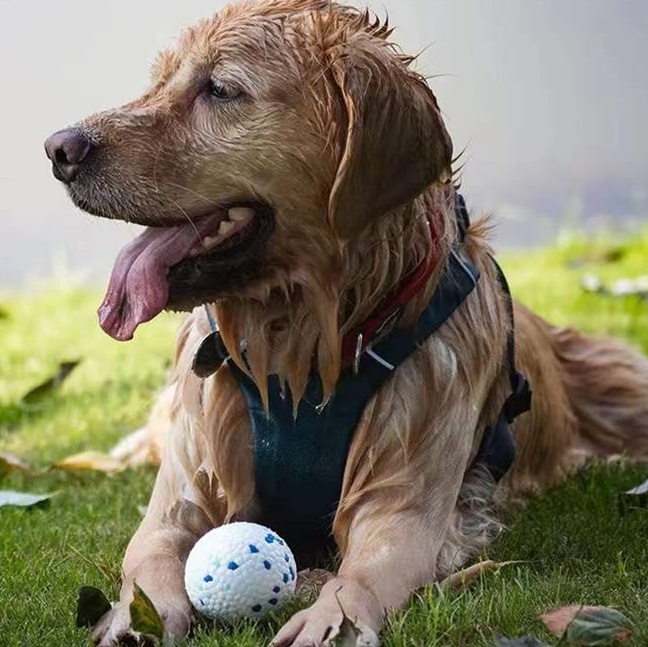 犬のおもちゃ  噛み応え抜群 愛犬用ポップコーンボール