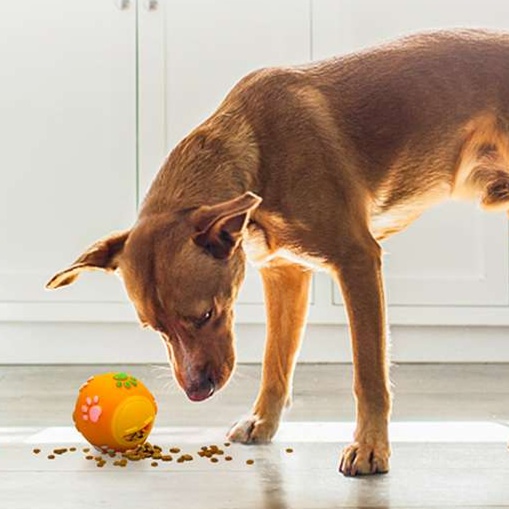 犬のおもちゃ  ペット用おやつ出る知育ボール