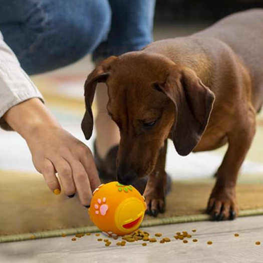 犬のおもちゃ  ペット用おやつ出る知育ボール