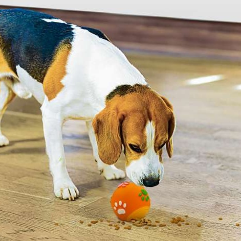 犬のおもちゃ  ペット用おやつ出る知育ボール