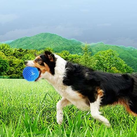 犬のおもちゃ  歯磨き用スパイキーボール