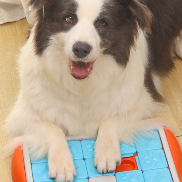 犬のおもちゃ  わんちゃん喜ぶ知育パズルおもちゃセット