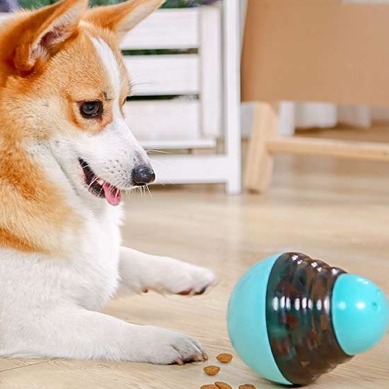 犬のおもちゃ  転がるおやつボール 知育玩具