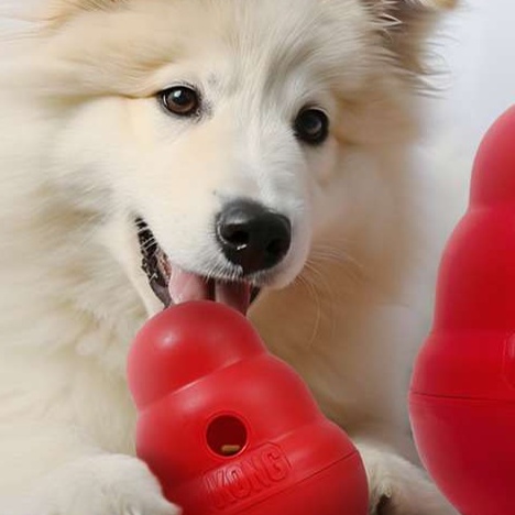 犬のおもちゃ  犬用知育おもちゃ 食べ遊びコング