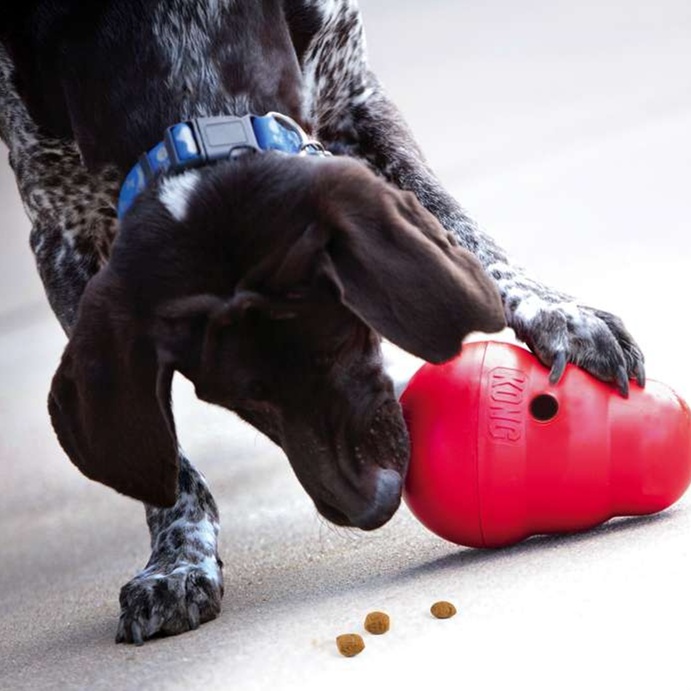 犬のおもちゃ  犬用知育おもちゃ 食べ遊びコング