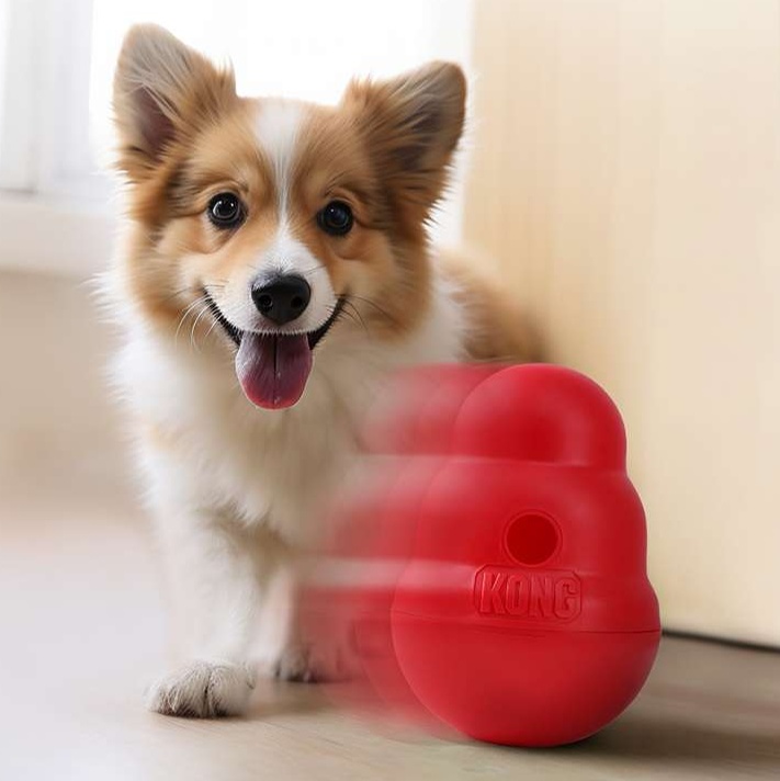 犬のおもちゃ  犬用知育おもちゃ 食べ遊びコング