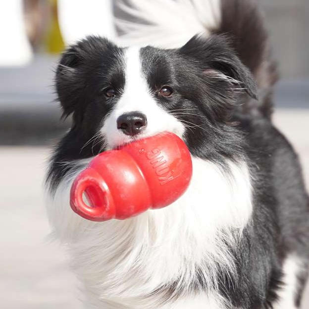 犬のおもちゃ  わんちゃんの知育バウンサー