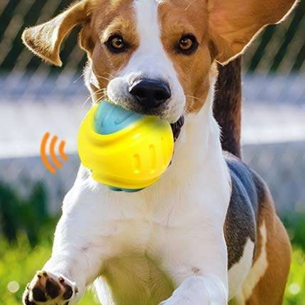 犬のおもちゃ  音が鳴る弾力ボール知育おもちゃ