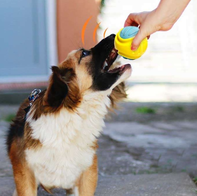 犬のおもちゃ  音が鳴る弾力ボール知育おもちゃ