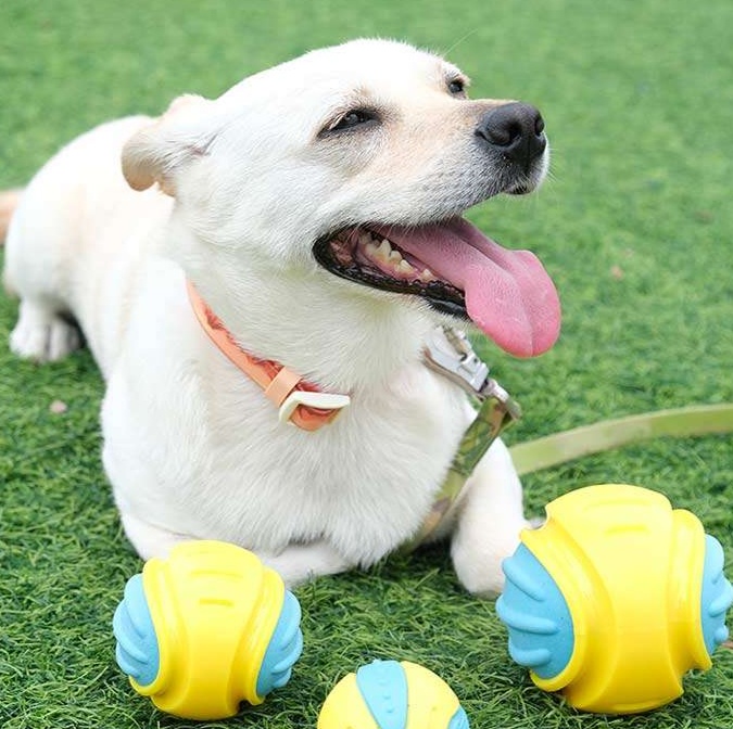 犬のおもちゃ  音が鳴る弾力ボール知育おもちゃ