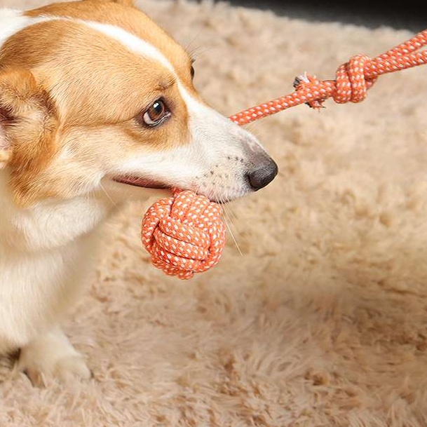 犬のおもちゃ  愛犬用多機能結び目ロープおもちゃ