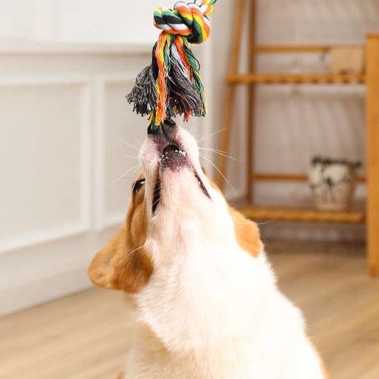 犬のおもちゃ  愛犬用コットンロープおもちゃ