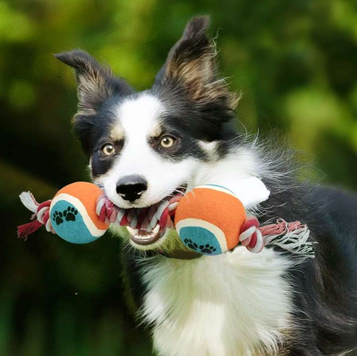 犬のおもちゃ  犬用テニスボールロープおもちゃ