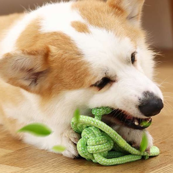 犬のおもちゃ  愛犬用マルチプレイロープおもちゃ