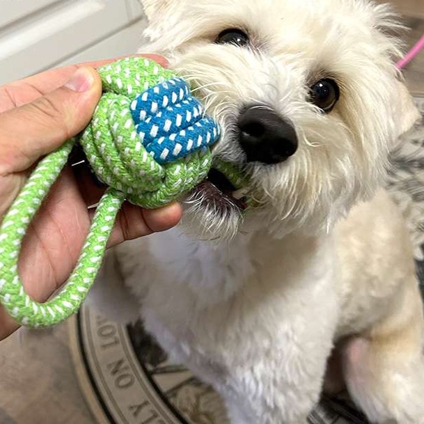 犬のおもちゃ  犬用デンタルロープおもちゃセット