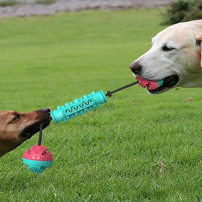 犬のおもちゃ  わんちゃんの歯磨きおもちゃセット